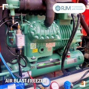 Pembekuan Produk Perikanan Dengan Menggunakan Air Blast Freezer