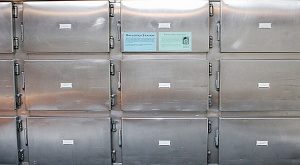 Ruang Pendingin untuk Penyimpanan Jenazah / Kadaver